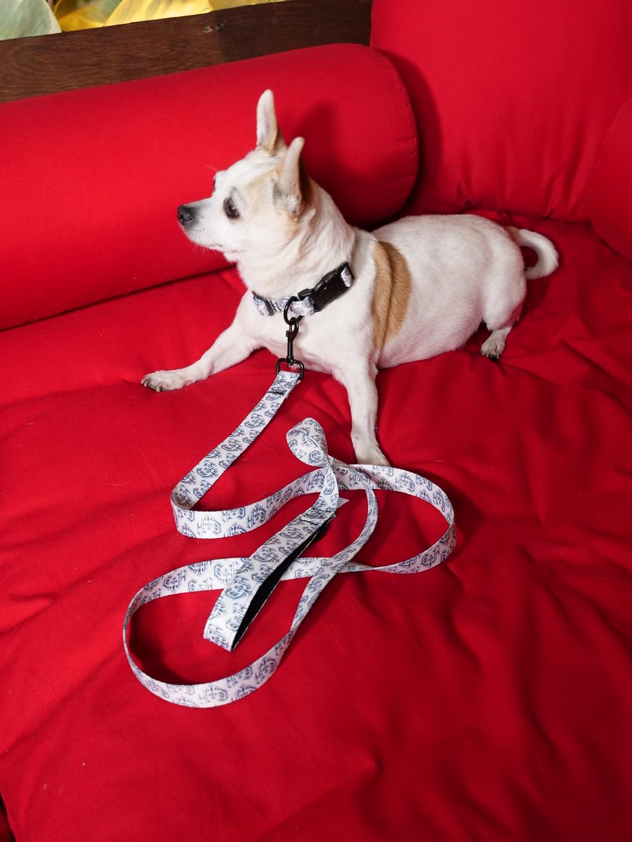 leash product image (1)