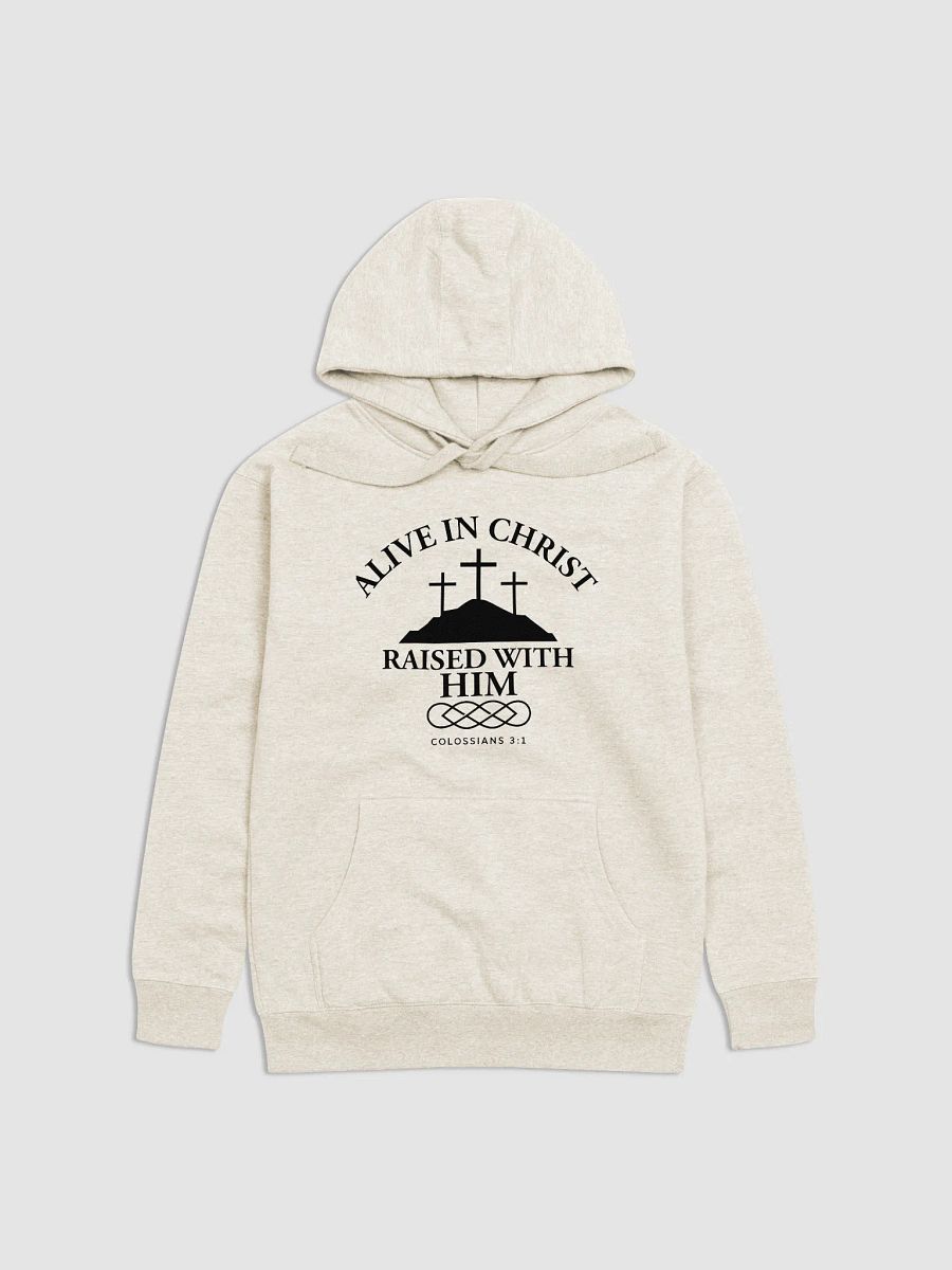 Alive in Christ, Raised with Him – Resurrection Life Hoodie product image (3)