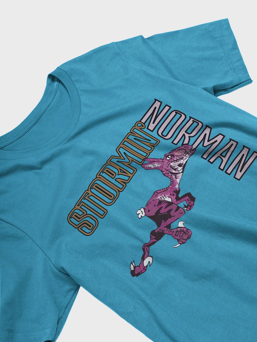 Stormin' Norman T-Shirt product image (3)