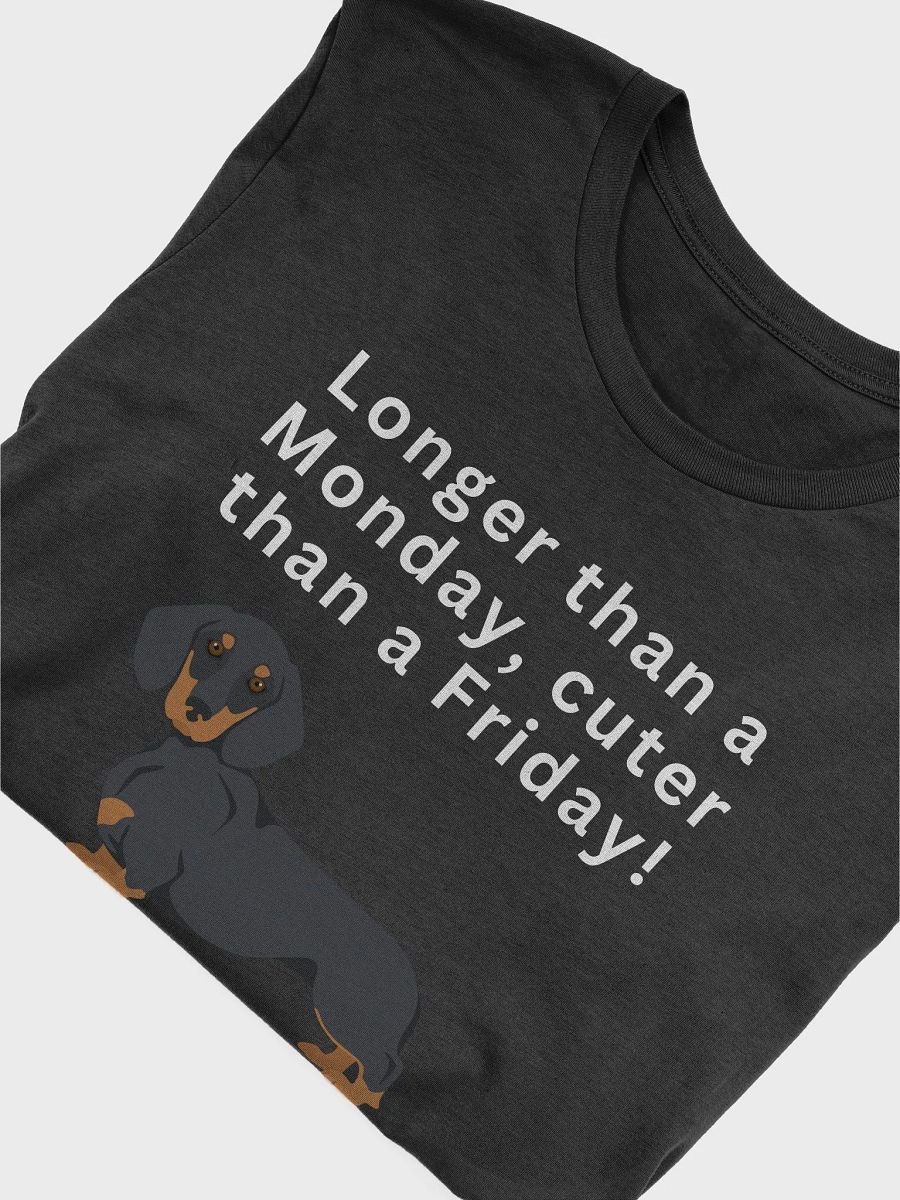 Dachshund dog T-shirt / dog t-shirt / funny t-shirt / pet t-shirt / animals t-shirt product image (5)