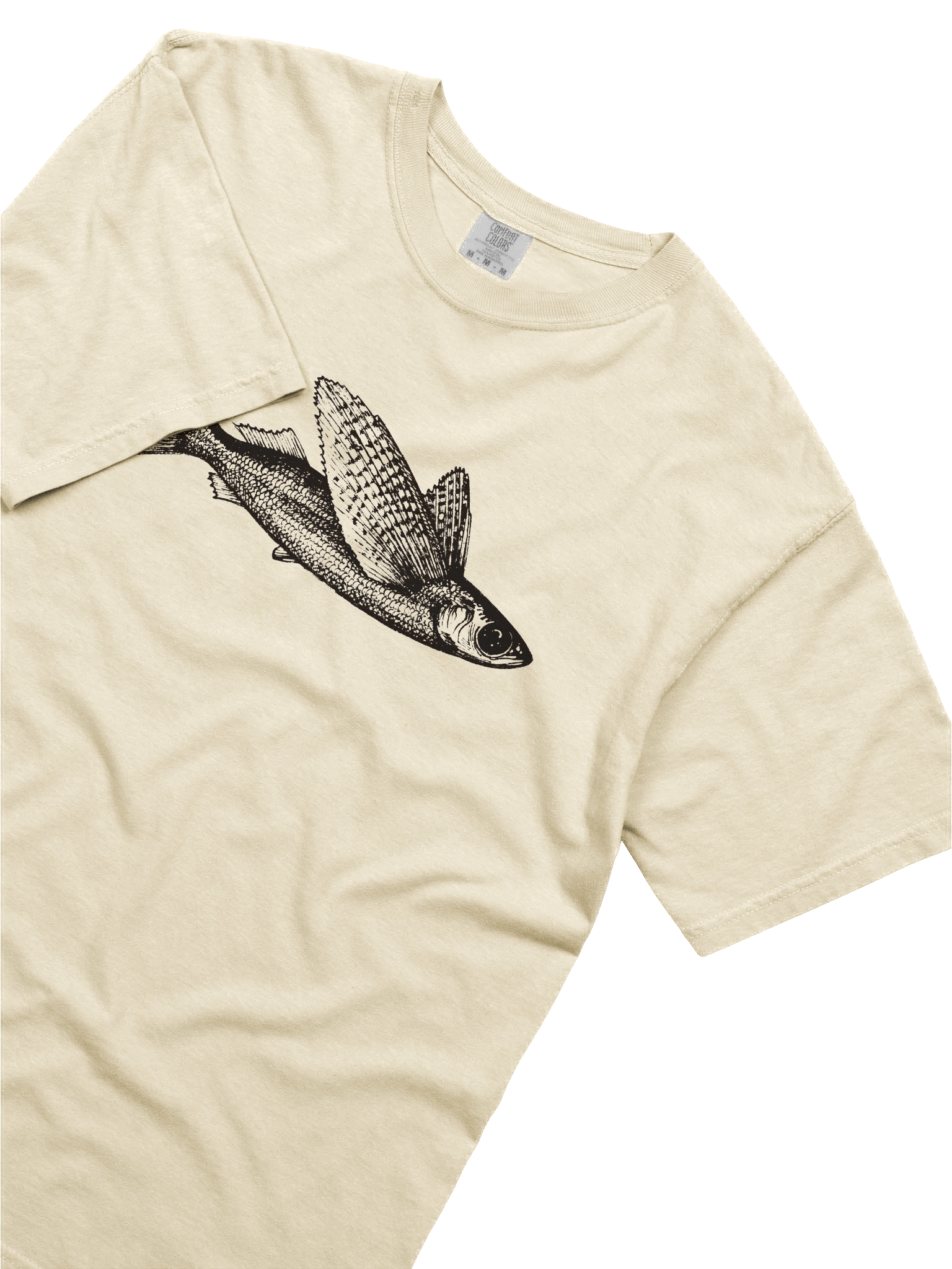 Flying fish - Print product image (35)