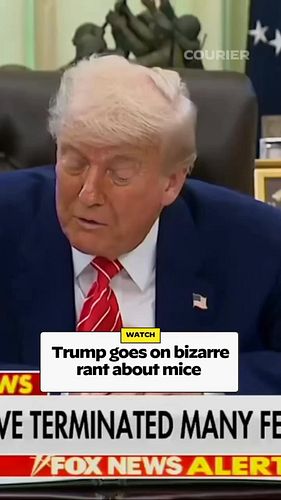 The dumbest person ever to hold the White House. Argue with your mama, don’t argue with me. (Also, Fcuk you TikTok for bannin...