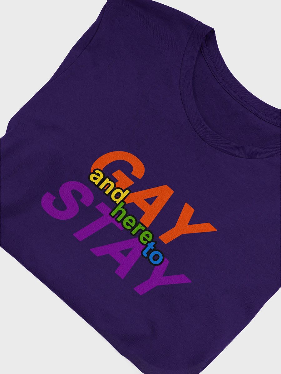 gay and here to stay (rainbow) t-shirt product image (5)