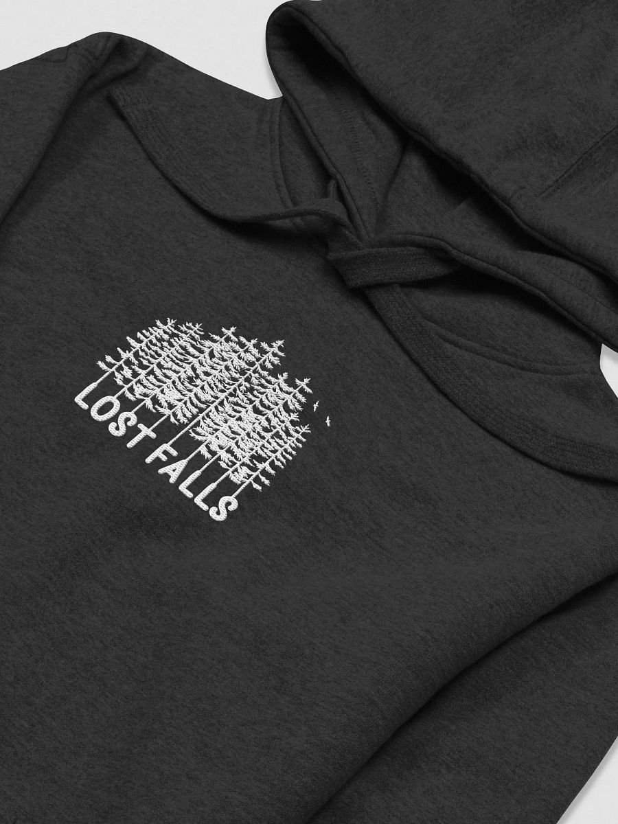 Lost Falls Hoodie (Embroidered) product image (30)