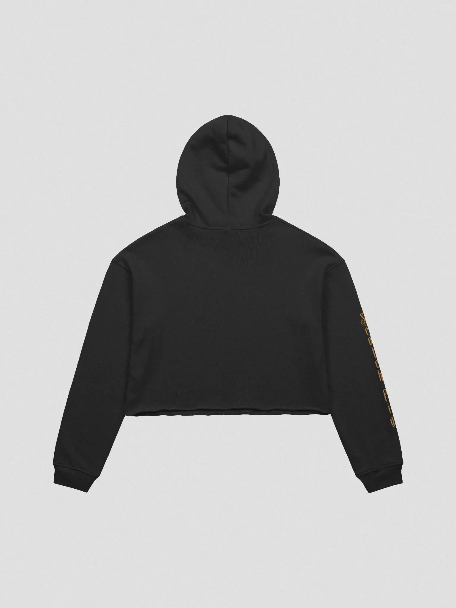 ScotchPig Logo Cropped Hoodie product image (4)