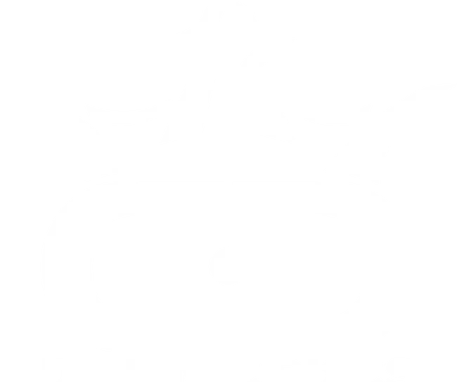 Dynamic Discs