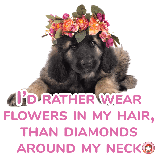 013-001 PNG 512px 300DPI | I’d rather wear flowers in my hair, than diamonds around my neck product image (1)