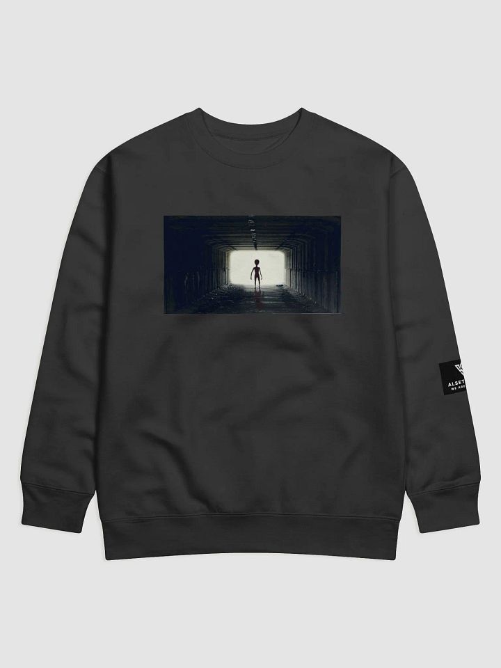 Seeing the light product image (2)