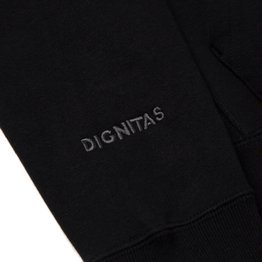 Dignitas Hoodie - Black product image (6)