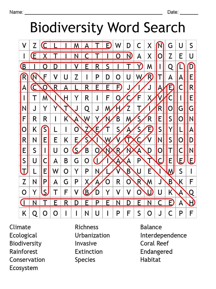 Biodiversity Word Search: Explore 16 Key Ecology Terms! product image (2)