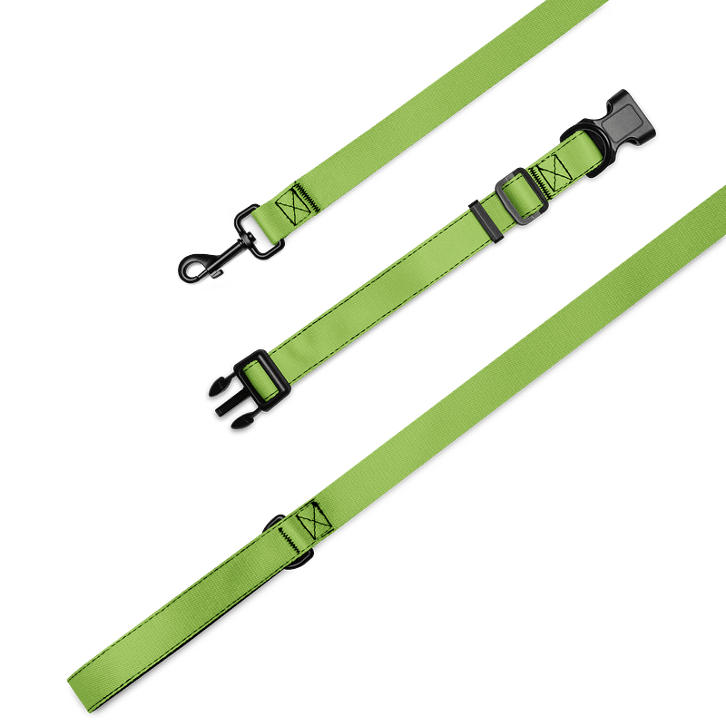 Swamp Chomps Collar & Leash Set - Green