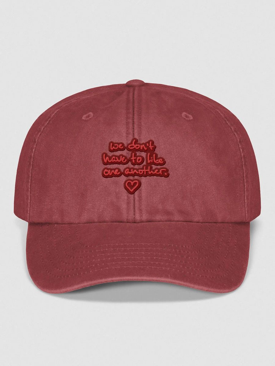 ONE ANOTHER (cherry) vintage dad hat product image (1)