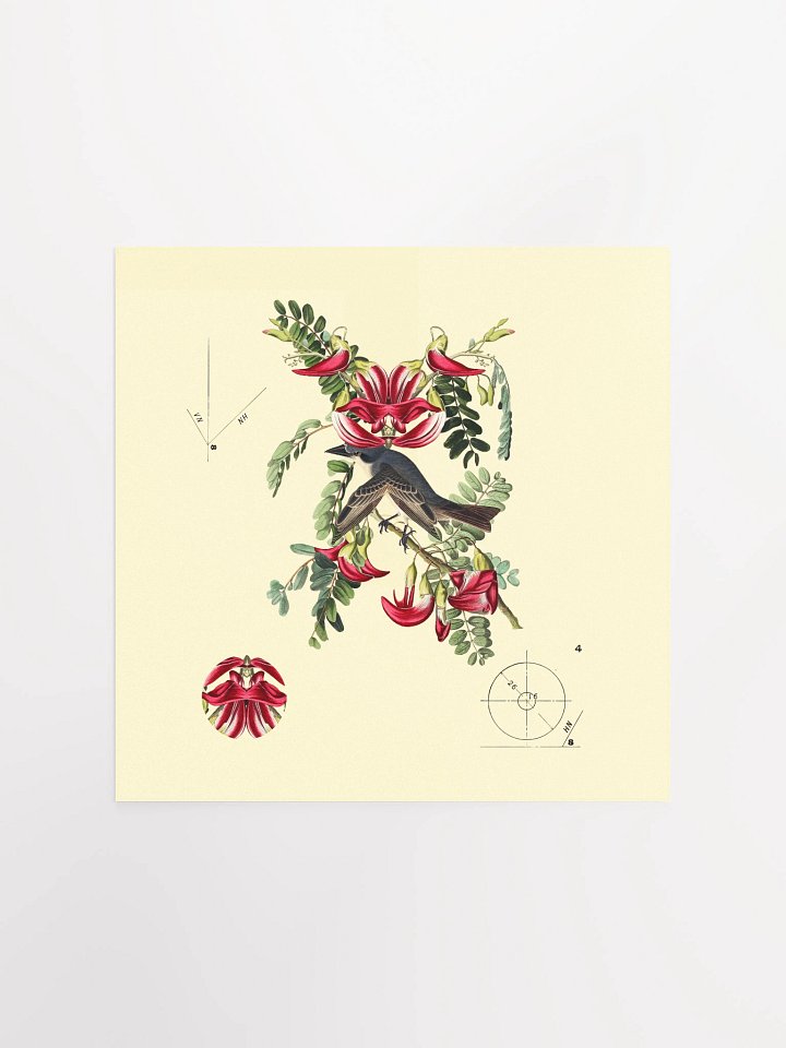 Bird Botanical Dadaism Poster product image (1)