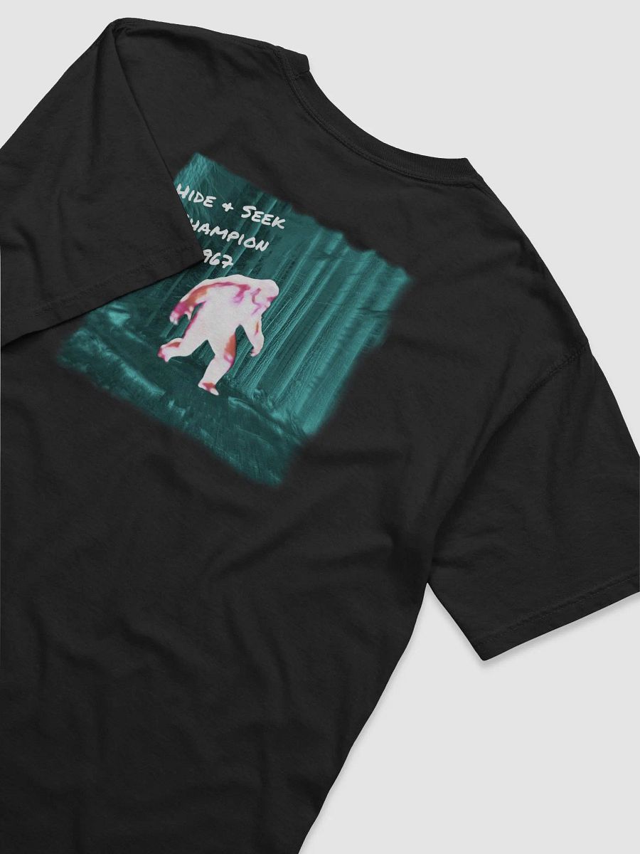 Hide & Seek Champ. product image (4)