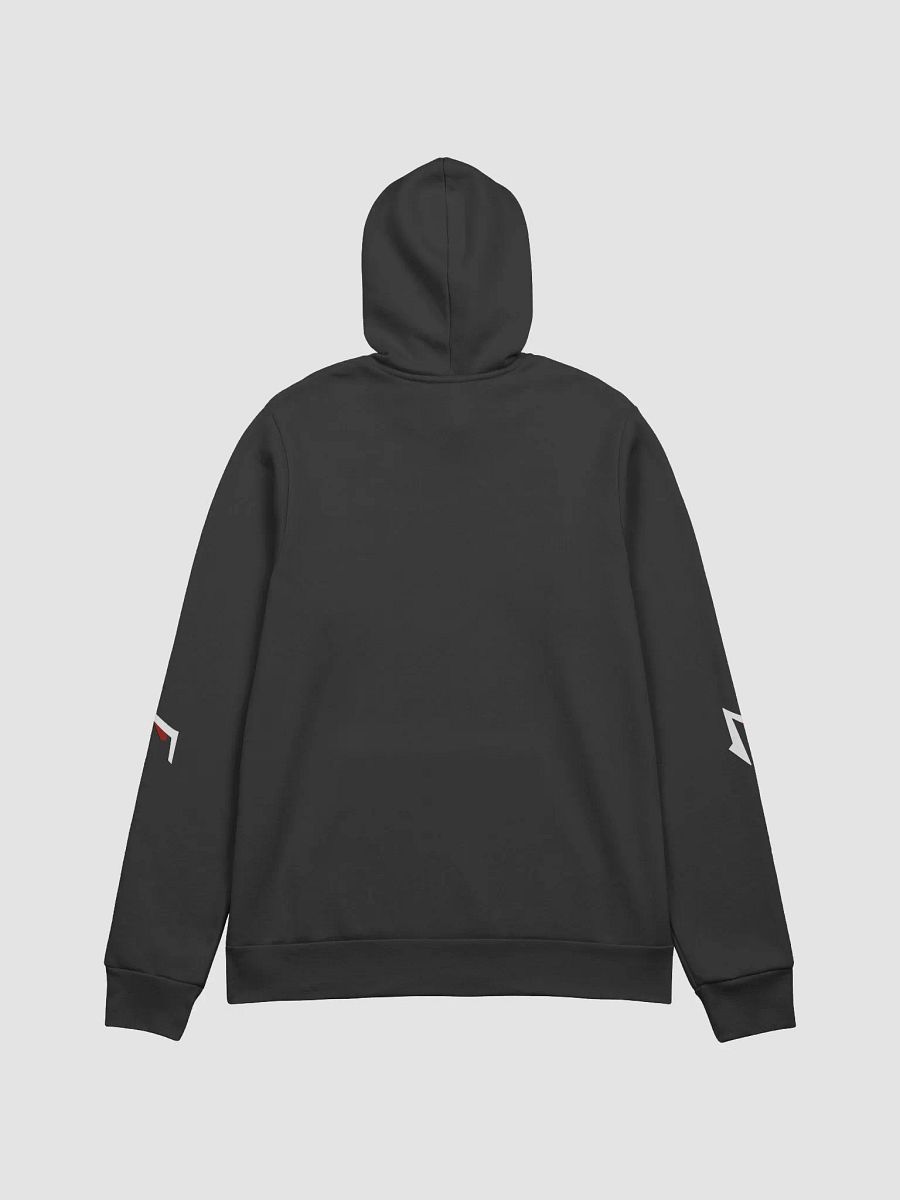 FAME PRODUCTIONS MULTI LOGO ULTRA SOFT HOODIE product image (9)