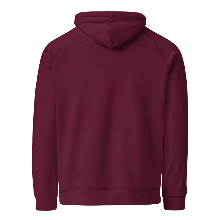 CS Hoodie product image (4)