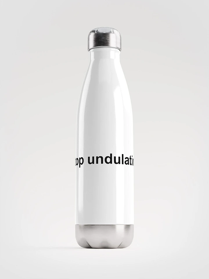 Stop Undulating Water Bottle product image (1)