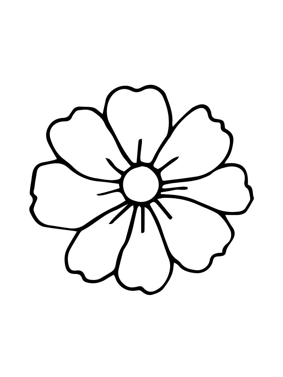 Flowers & Trees Coloring Pages product image (4)