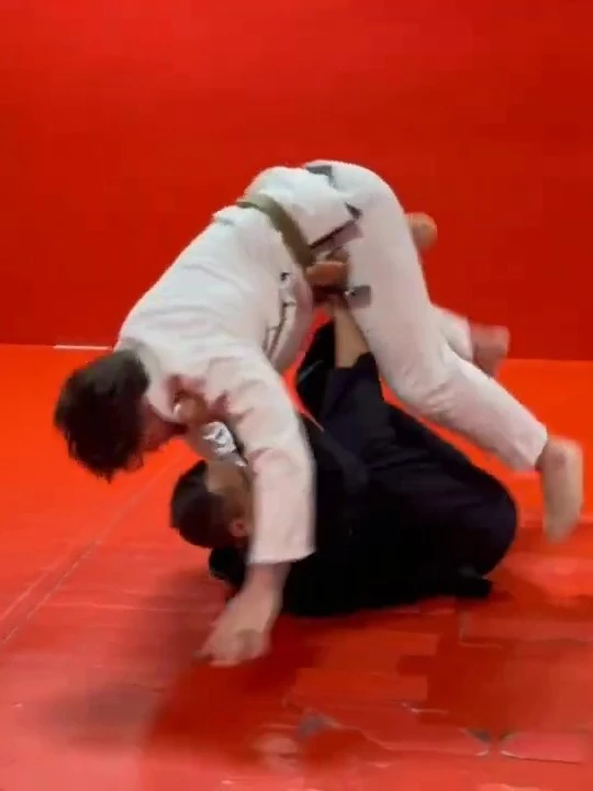 Top 10 Best Takedowns for BJJ (10 Videos!) product image (1)