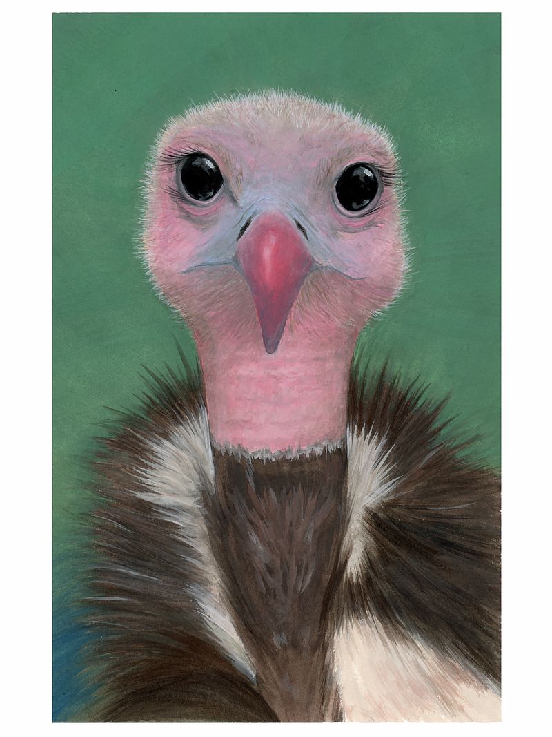 Herbie - giclée print