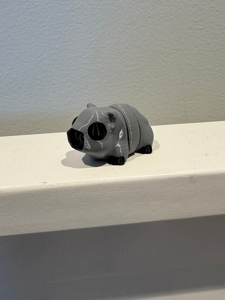 Wiggly Wombat product image (1)
