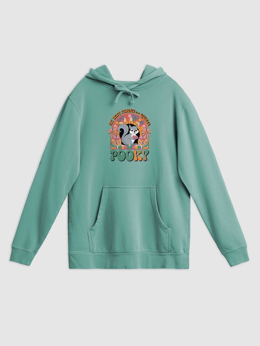 Super Soft Ultra High Quality Hoodie: My Best Friend is a Squirrel, Pooky! 70s Hippie Vibe product image (1)
