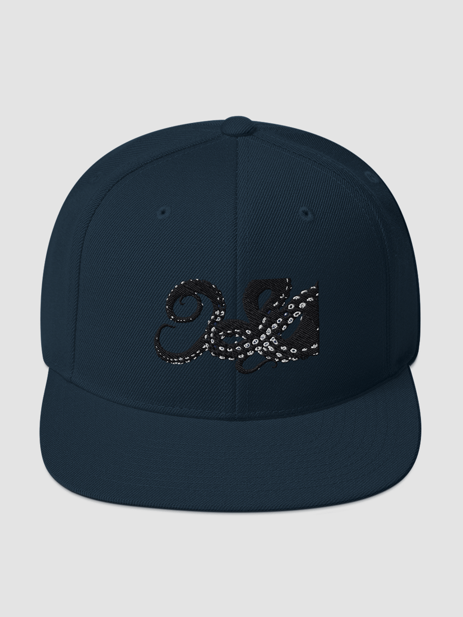 [ DEN SUPPLIES ] Snapback Hat 2 product image (2)