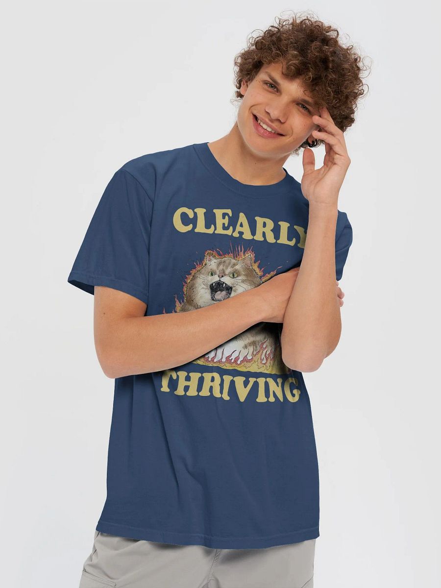 Clearly Thriving Heavyweight Tee (BB x CC) product image (3)