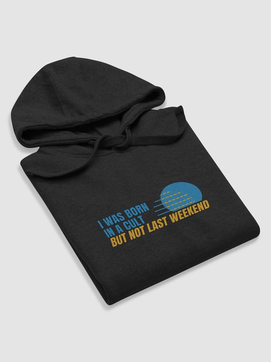 Born In A Cult Unisex Premium Hoodie product image (56)