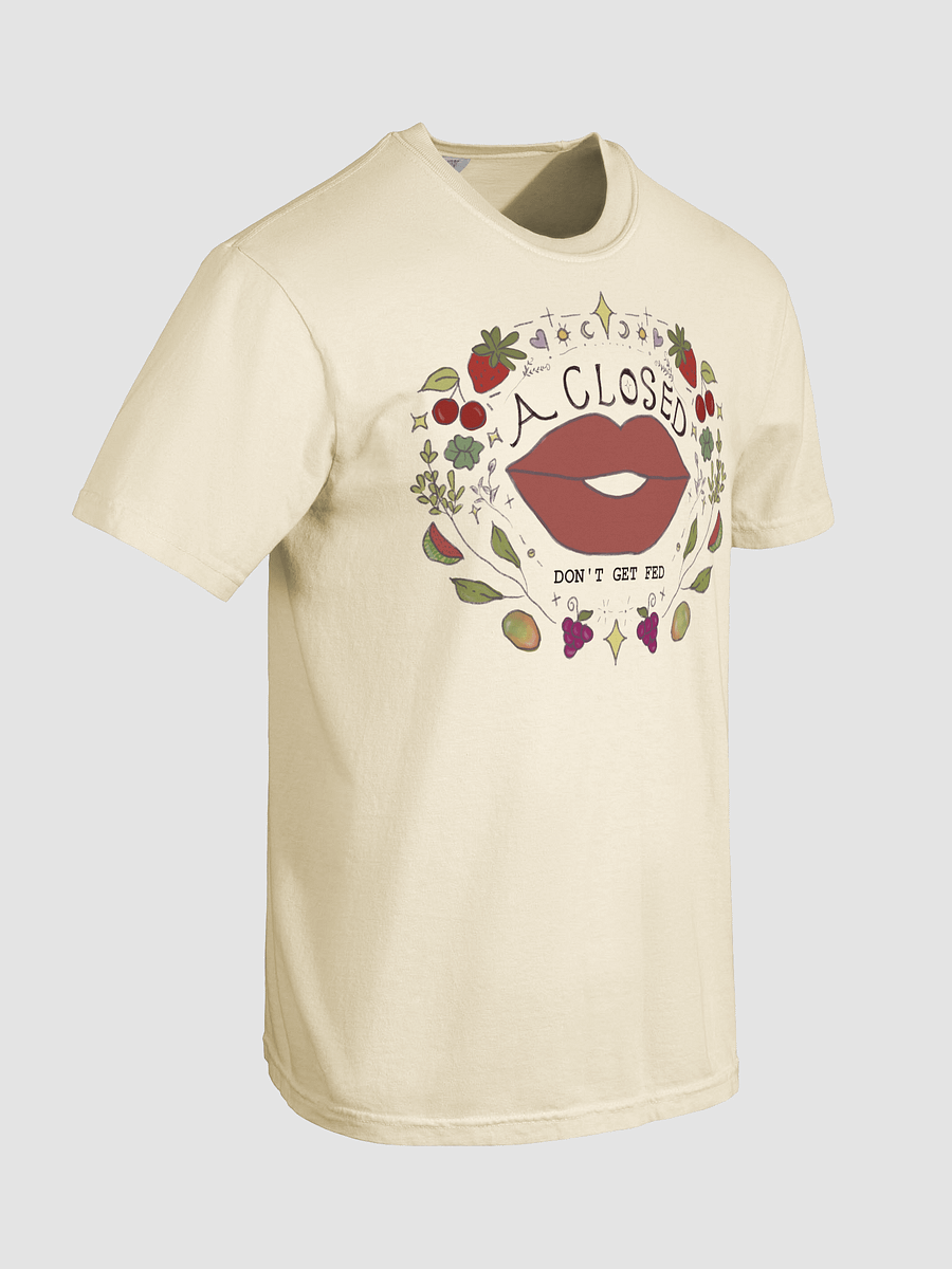 A Closed Mouth Don’t Get Fed product image (18)