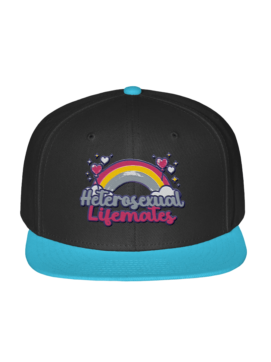 'Heterosexual Lifemates' Snapback product image (1)
