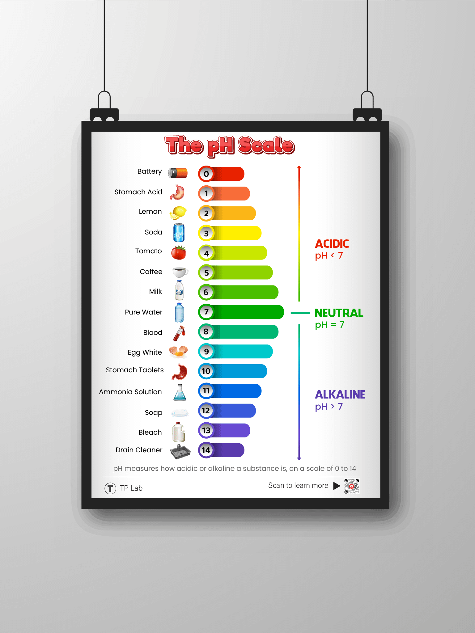 The pH Scale – Colorful and Informative Poster product image (21)
