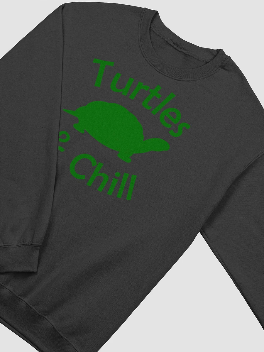T&C Sweatshirt product image (3)