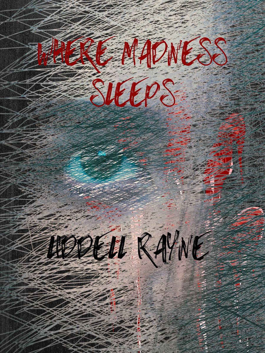 Signed paperback copy of Where Madness Sleeps product image (5)