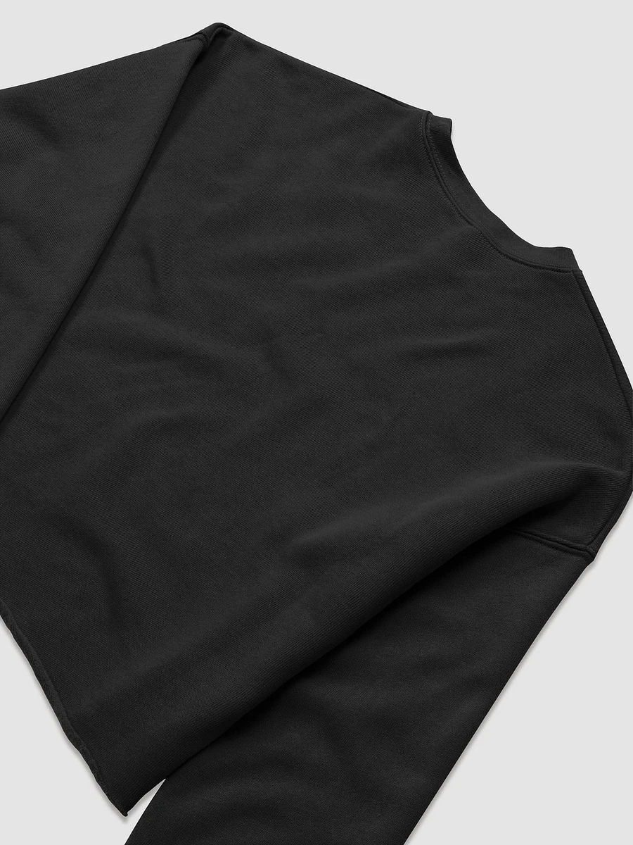 CMYK Skull Fleece Crop Sweatshirt product image (28)