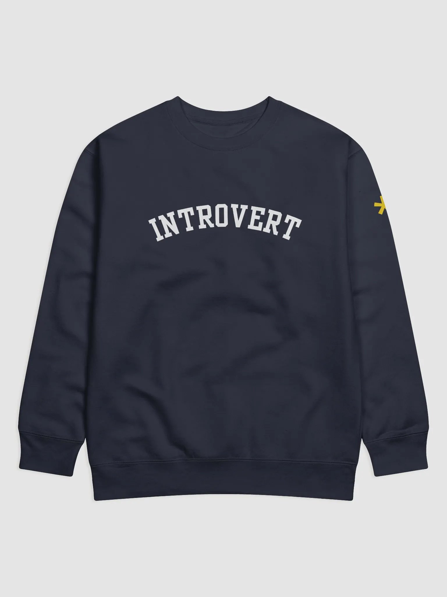 Introvert Premium Sweatshirt product image (1)