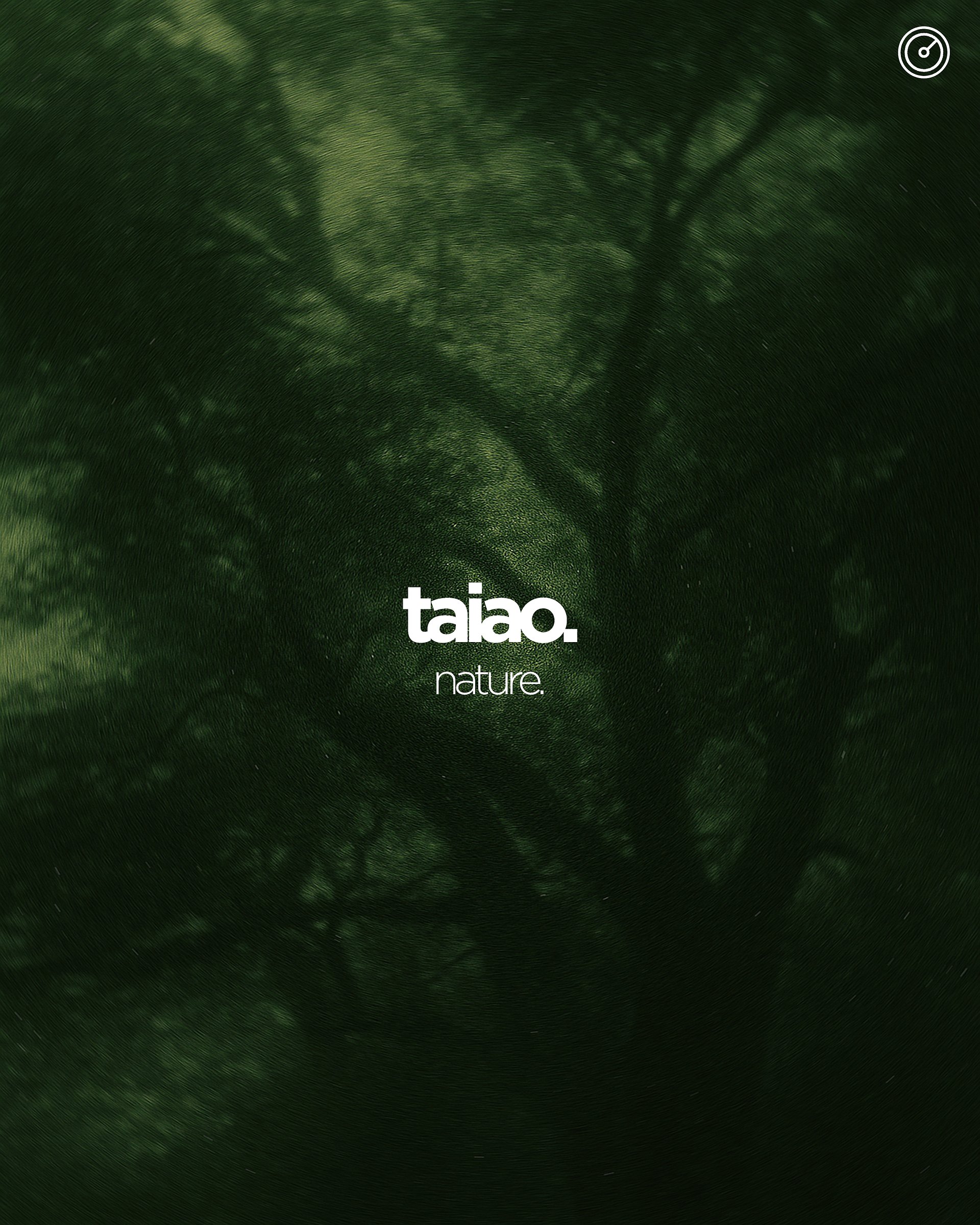 taiao - soundsapes of New Zealand nature. product image (2)