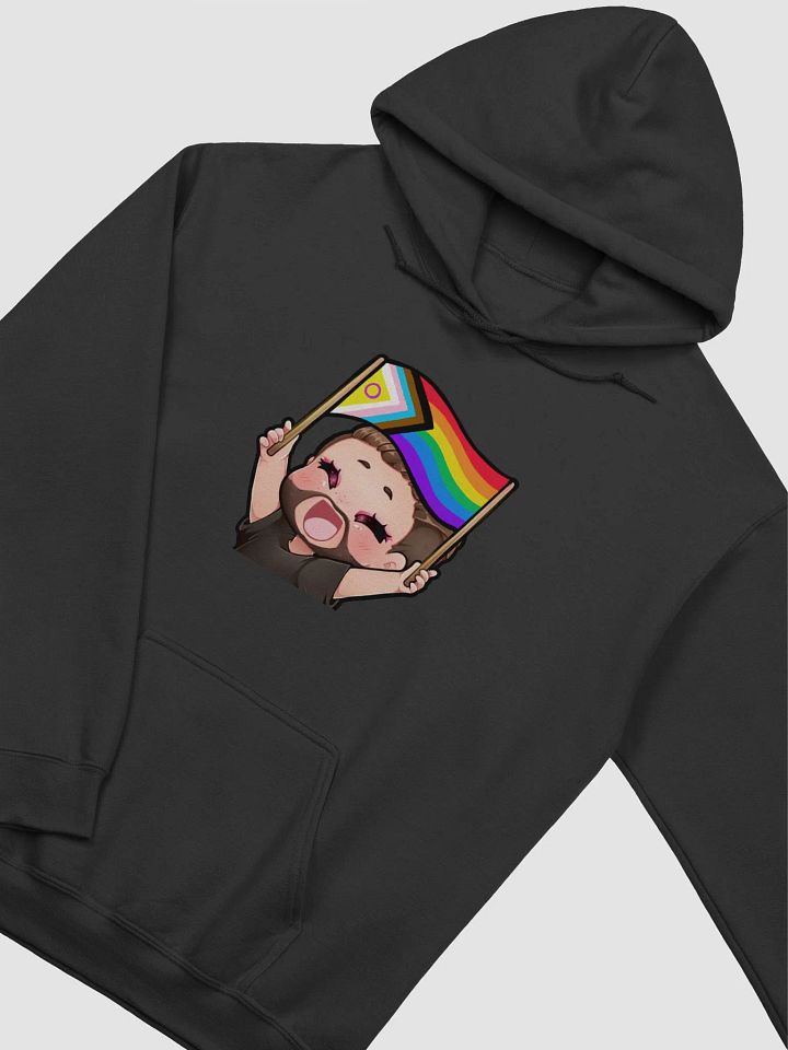 Pride Hoodie product image (2)