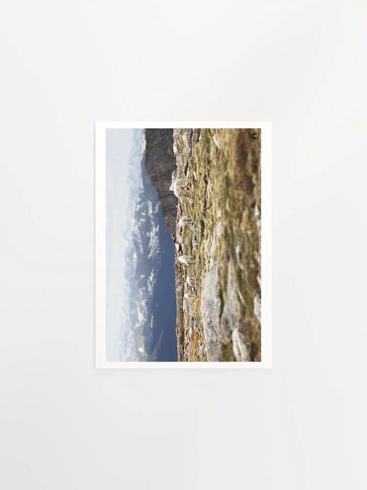 Mountain Goats Grazing Poster product image (4)
