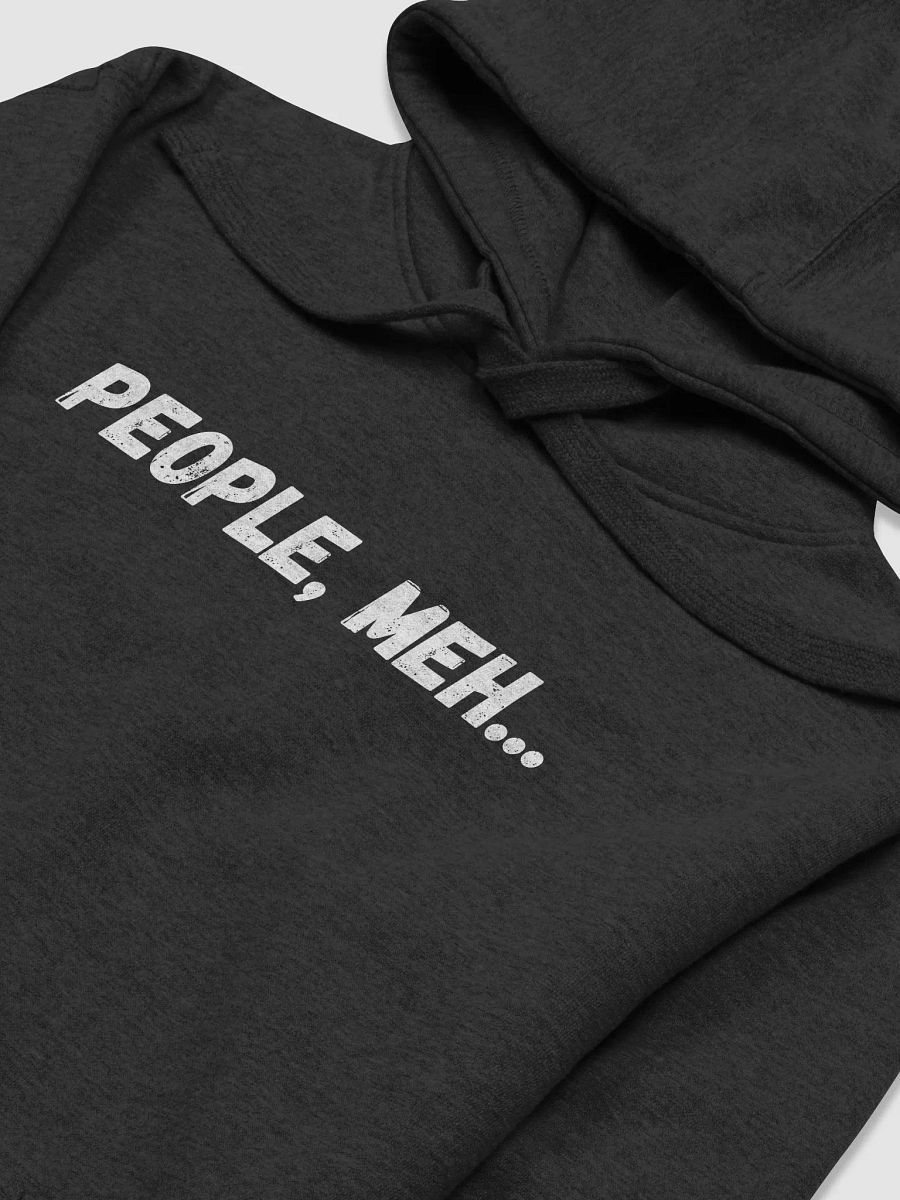 The Introvert's Anthem Hoodie product image (3)