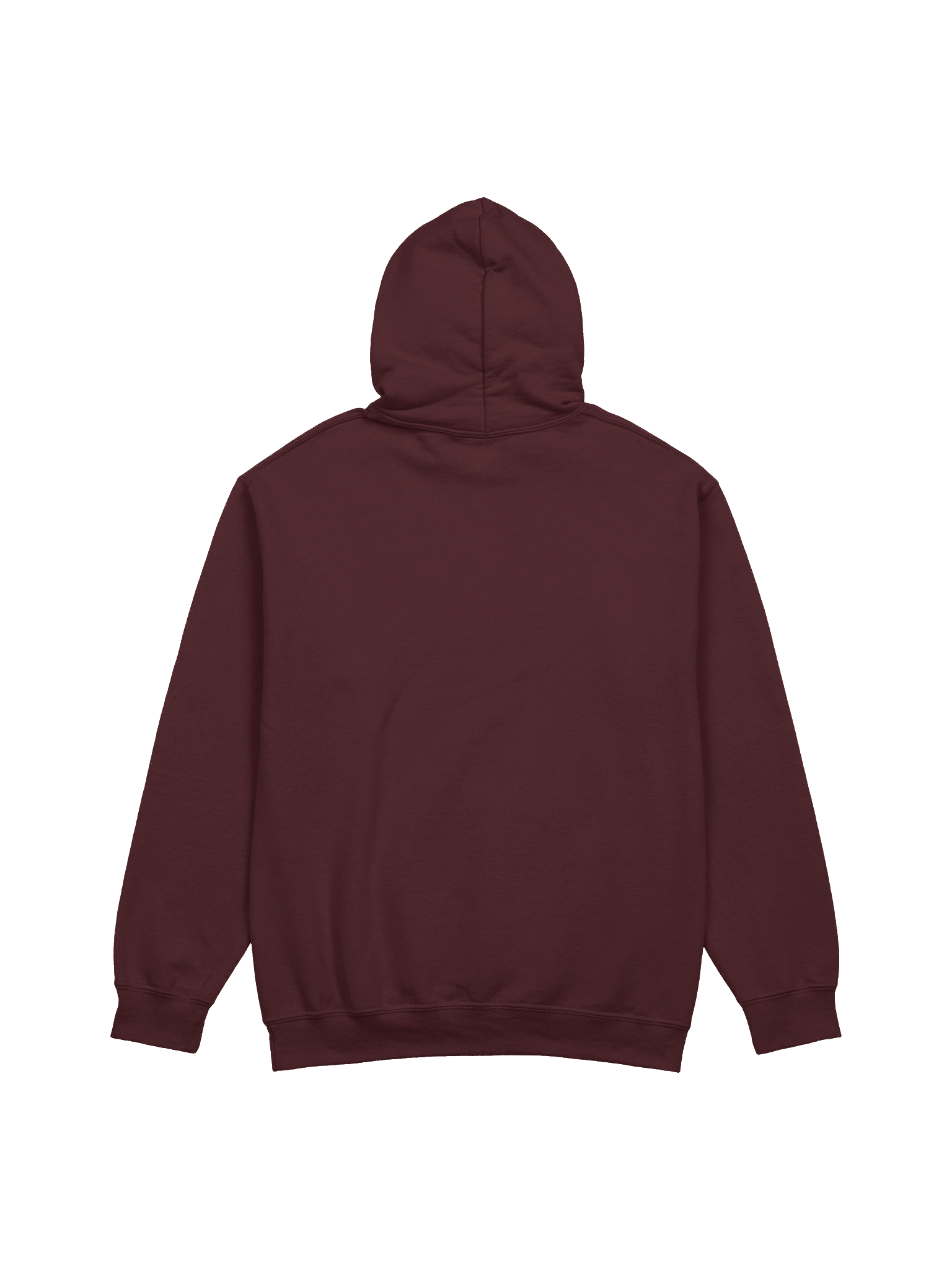 The Rail Fans Canada Classic Hoodie product image (8)