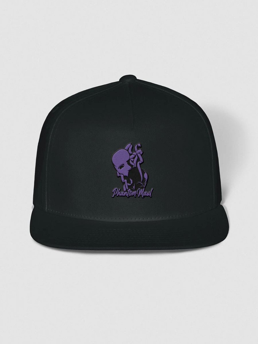 Purple Logo Snap-Back product image (1)