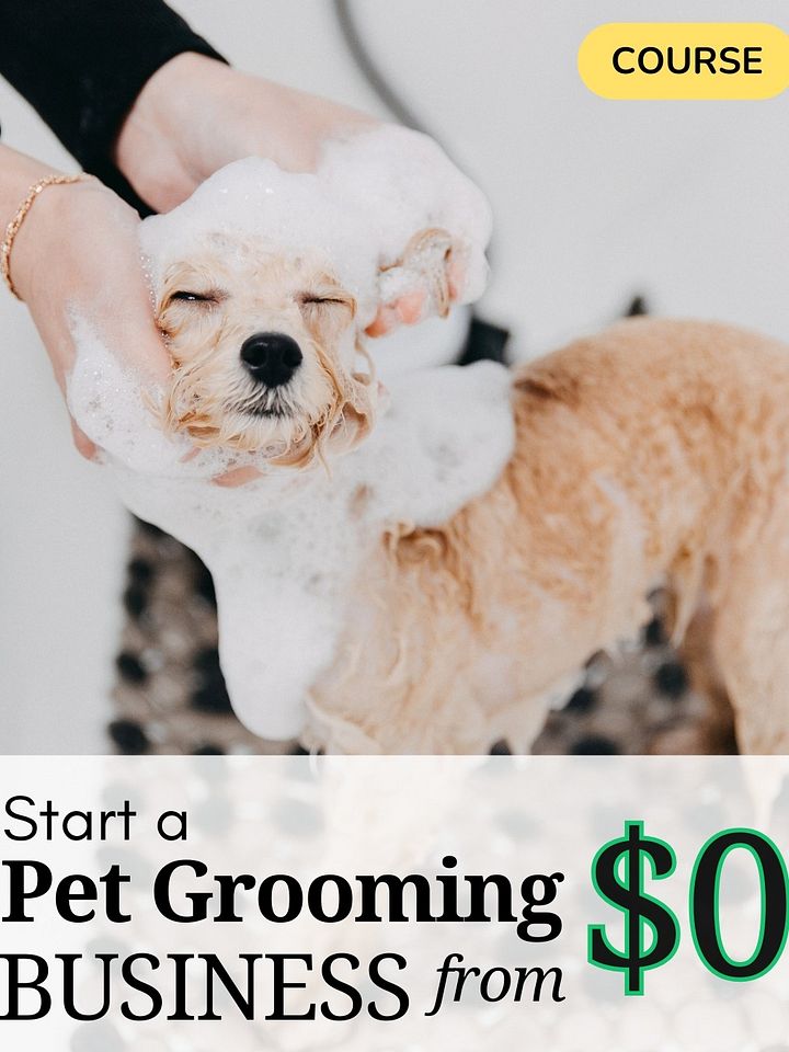 COURSE: Start a Pet Grooming Business From $0! product image (1)