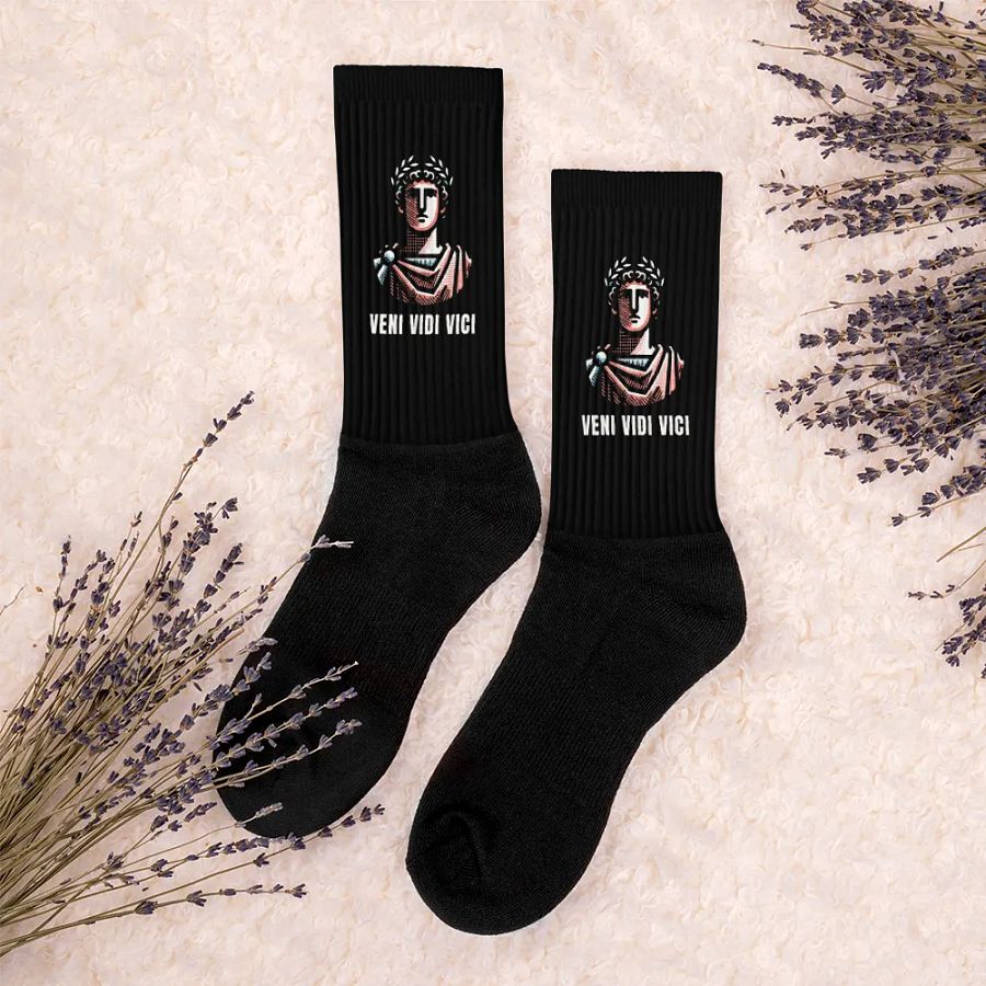 Veni Vidi Vici Socks product image (6)