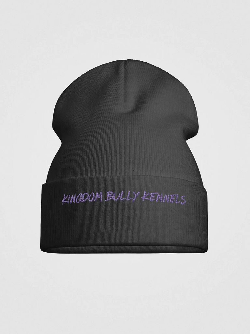 KBK Purple Beanie