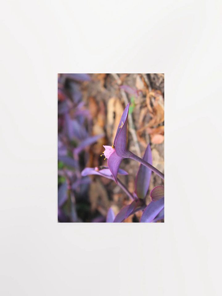 A Study in Flowers 8 product image (1)