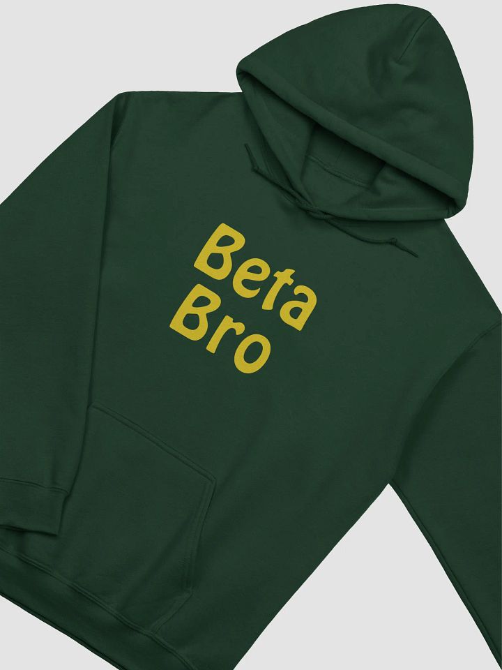 Meggs Beta Bro Hoodie product image (2)