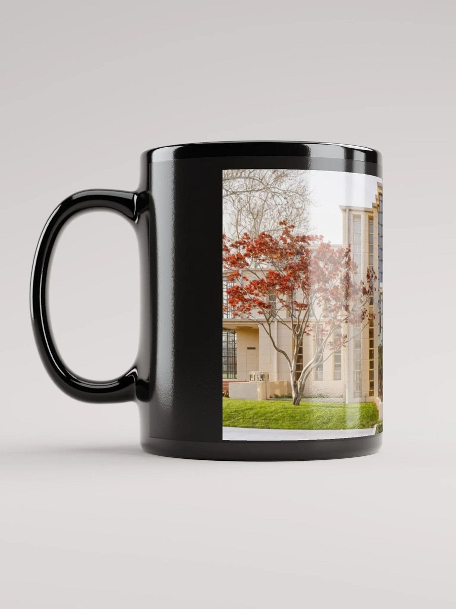RICHARD LLOYD JONES HOUSE product image (6)