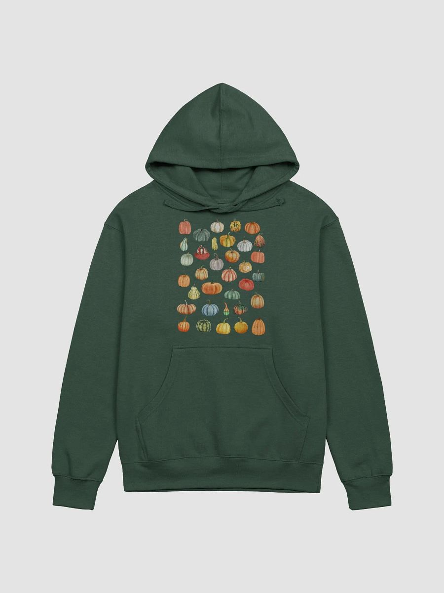 Watercolor Squash & Pumpkin Collage Adult Hoodie product image (1)