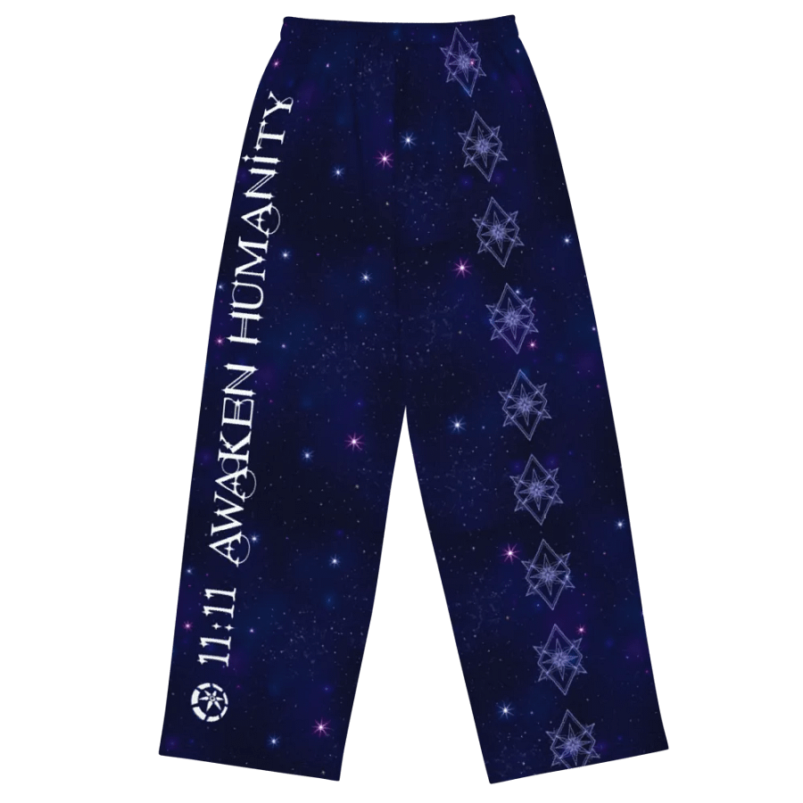Starborn Mission Terra Wide-Leg Pants product image (6)